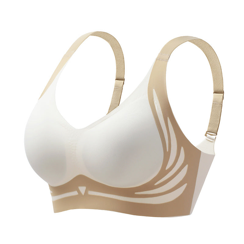 👙TRIAUMPH🔥Modrček s push-up učinkom in brez zadrg