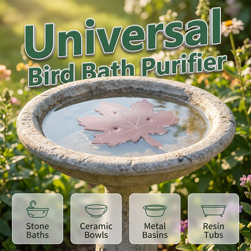 🍁 ✨ Čistič kŕmidiel pre vtáky – Prírodné čistenie, univerzálny 🐦